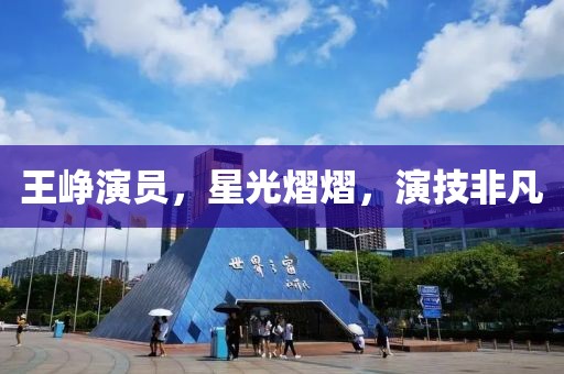 王崢演員，星光熠熠，演技非凡