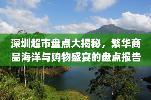 深圳超市盤點大揭秘，繁華商品海洋與購物盛宴的盤點報告