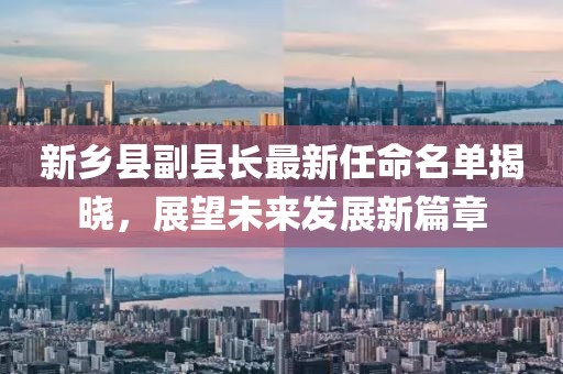 新鄉縣副縣長最新任命名單揭曉，展望未來發展新篇章