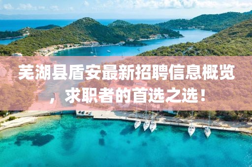 蕪湖縣盾安最新招聘信息概覽，求職者的首選之選！
