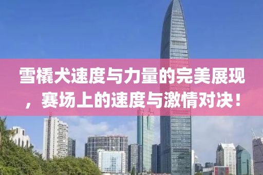 雪橇犬速度與力量的完美展現，賽場上的速度與激情對決！