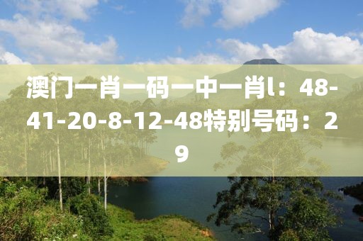 澳門一肖一碼一中一肖l：48-41-20-8-12-48特別號碼：29