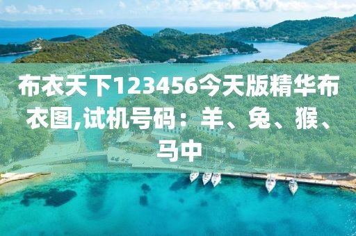 布衣天下123456今天版精華布衣圖,試機號碼：羊、兔、猴、馬中