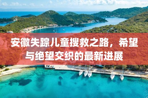 安徽失蹤兒童搜救之路，希望與絕望交織的最新進展