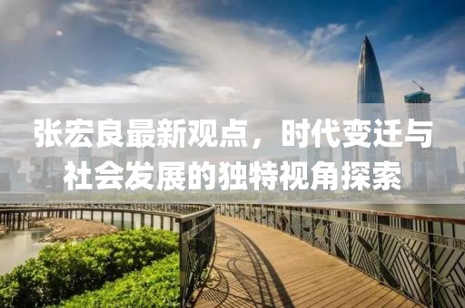 張宏良最新觀點，時代變遷與社會發展的獨特視角探索
