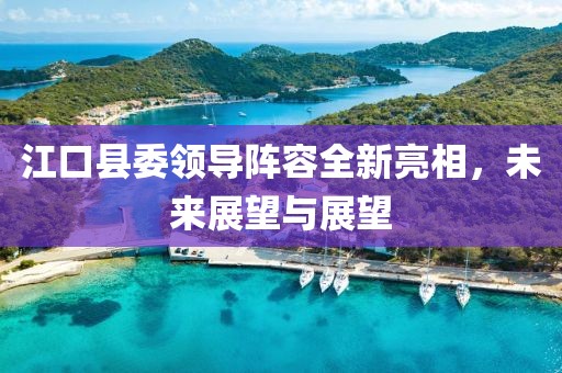 江口縣委領導陣容全新亮相，未來展望與展望