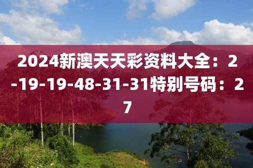 2024新澳天天彩資料大全：2-19-19-48-31-31特別號碼：27