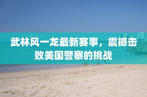武林風一龍最新賽事，震撼擊敗美國警察的挑戰