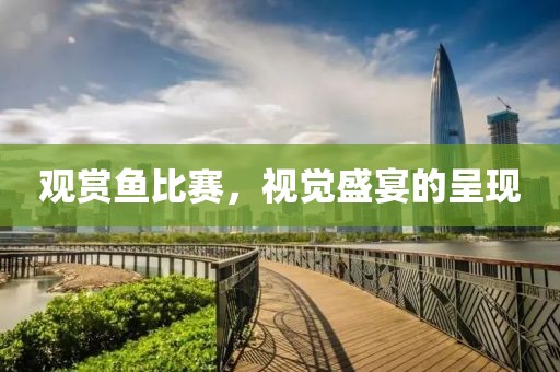 觀賞魚比賽，視覺盛宴的呈現