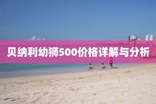 貝納利幼獅500價格詳解與分析