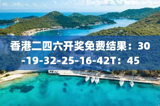 香港二四六開獎免費結果：30-19-32-25-16-42T：45