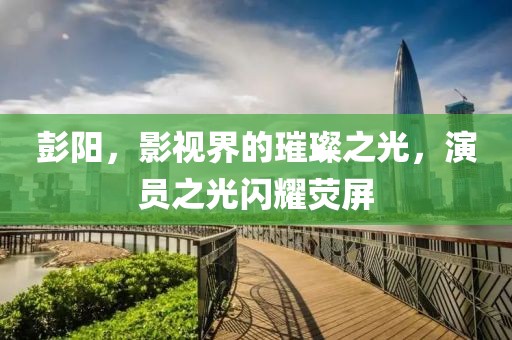 彭陽，影視界的璀璨之光，演員之光閃耀熒屏