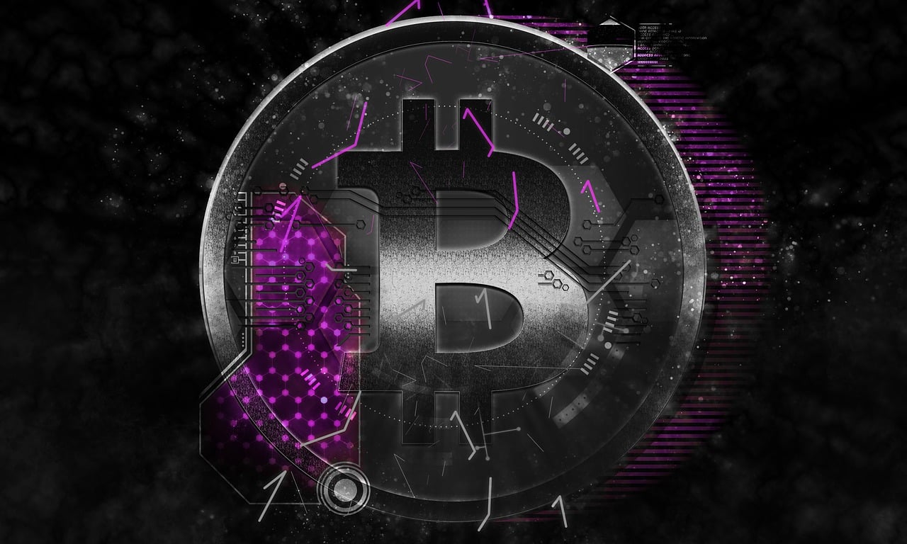 鯨錢包最新動態，引領數字金融新浪潮