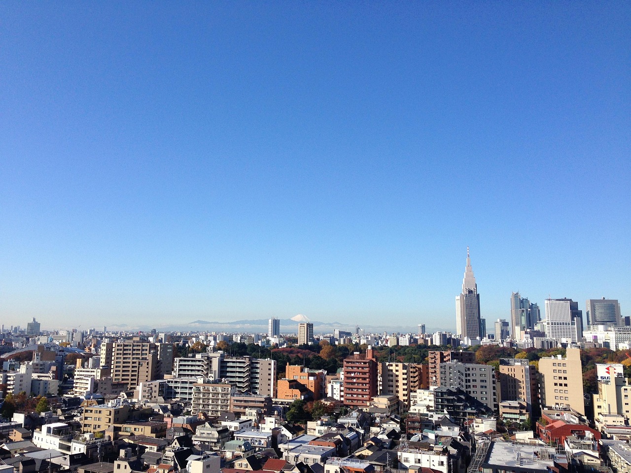 臨安土地最新出讓信息，揭示城市發展與土地市場動態緊密聯系