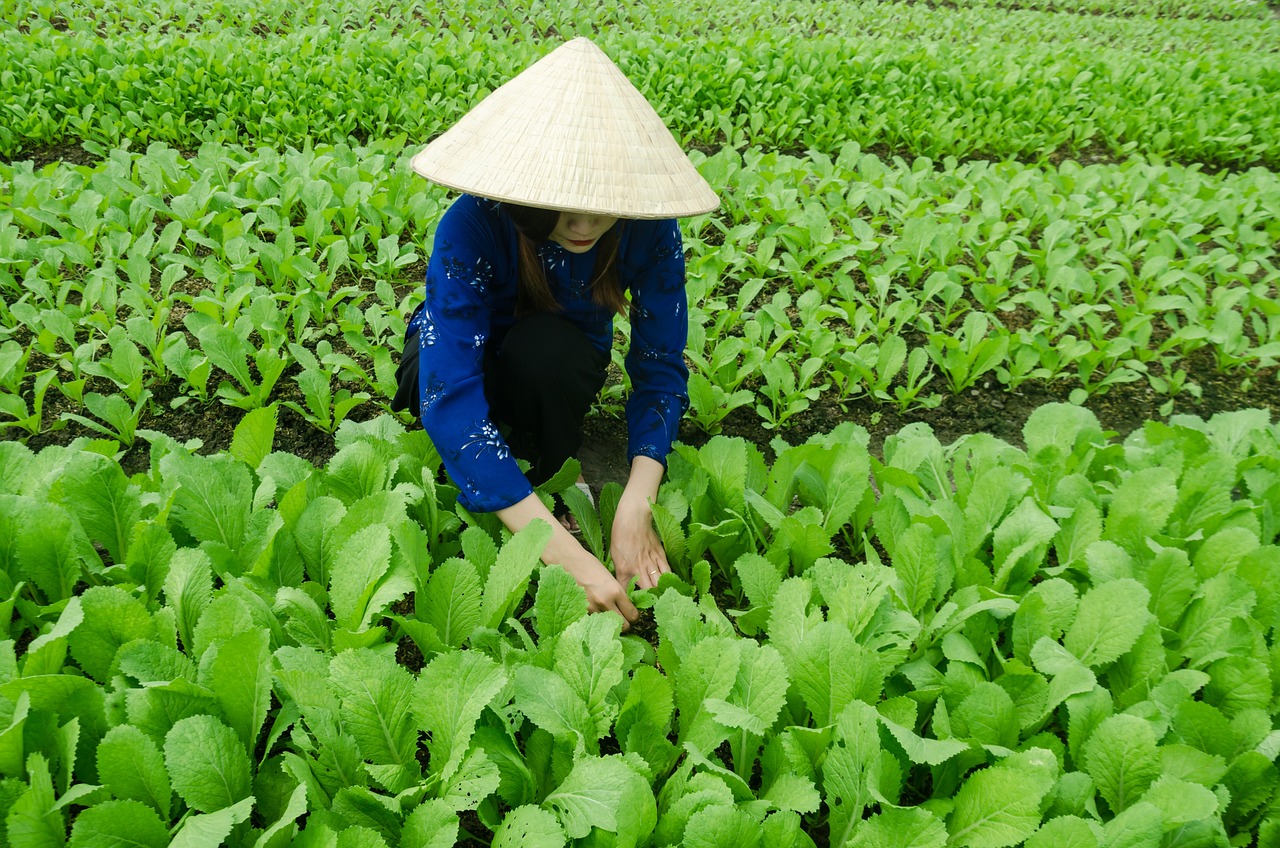 時光踏路已久 第11頁