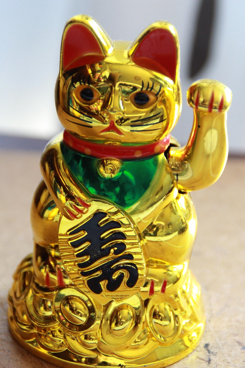 廣州貓咪動態，城市中的貓趣盎然與溫情脈脈