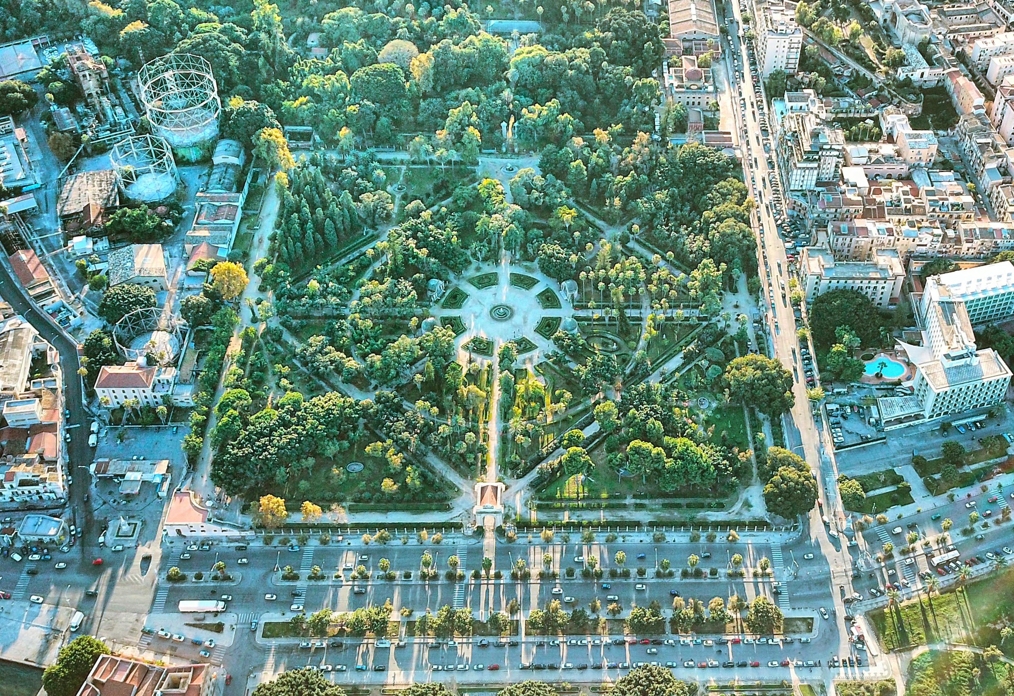 臨湘最新疫情動態，全面應對，守護家園安寧