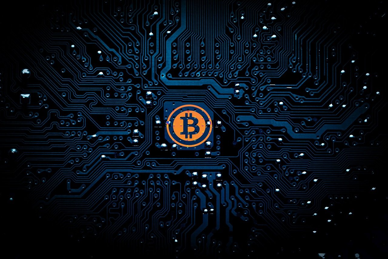 2017年熱門種植創富項目深度解析，把握機遇，共創財富