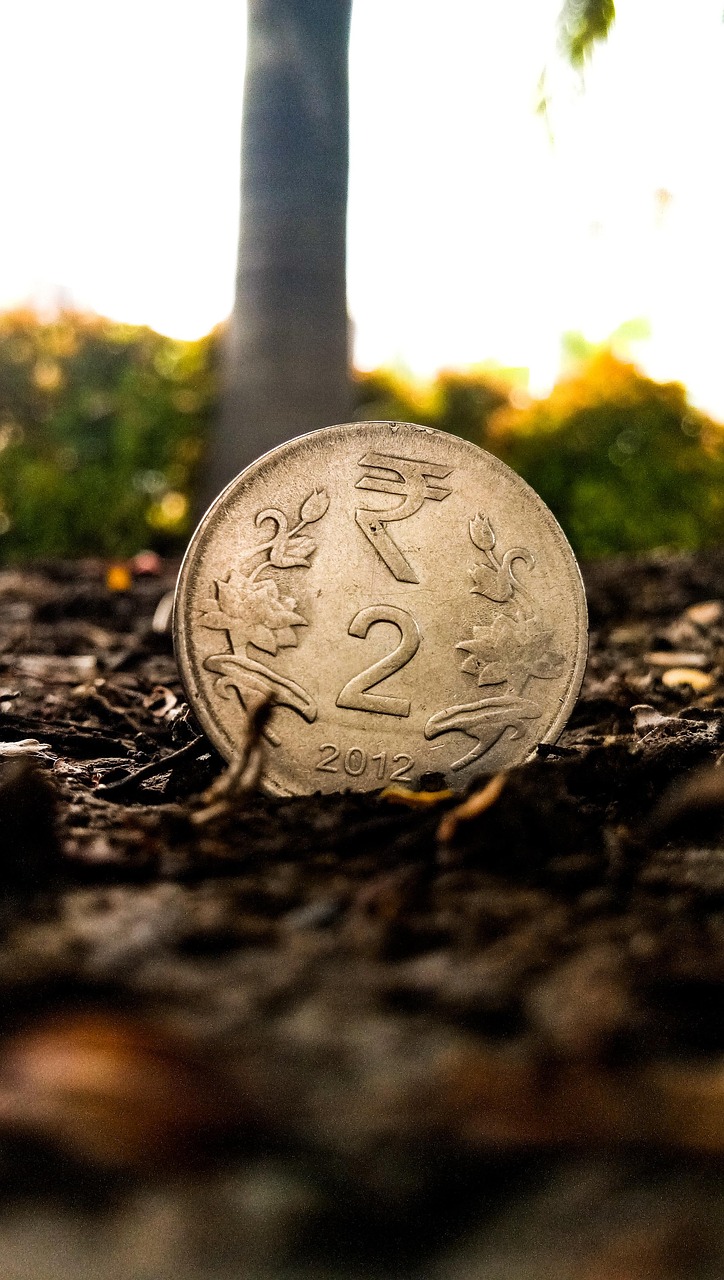 東陽光股票股吧，投資潛力與市場動態深度解析