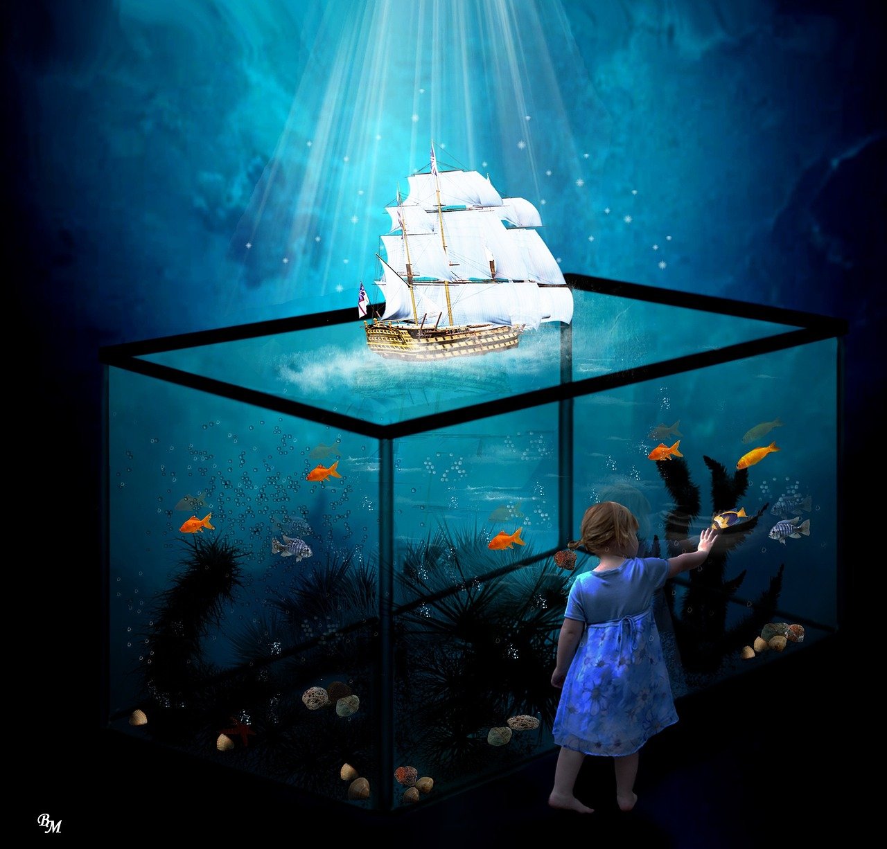 深海水族館神秘魚類揭秘，深海生物的奧秘與魅力探索