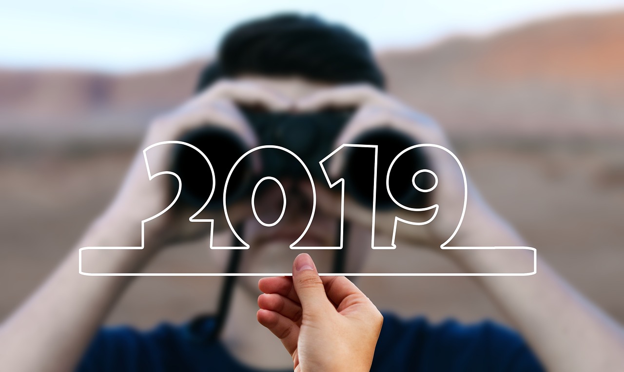 今年大蔥行情展望，機遇與挑戰并存