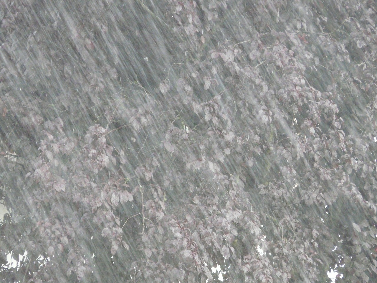 遼陽大暴雨最新情況報告，暴雨進展與影響分析