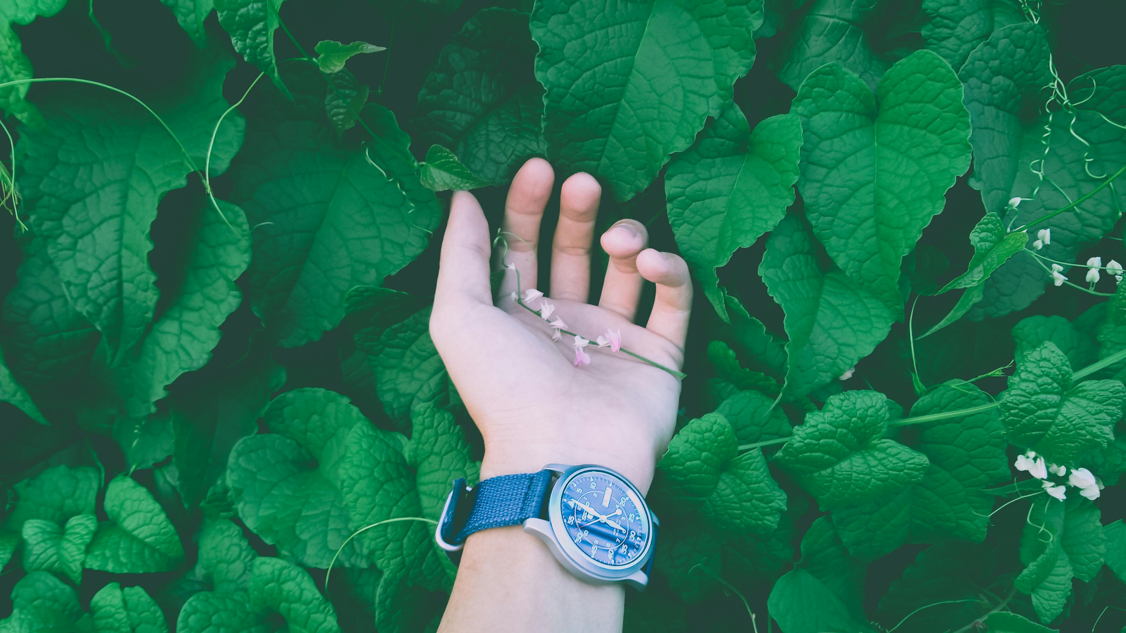 渴夏的獨特魅力與體驗，最新時尚一覽