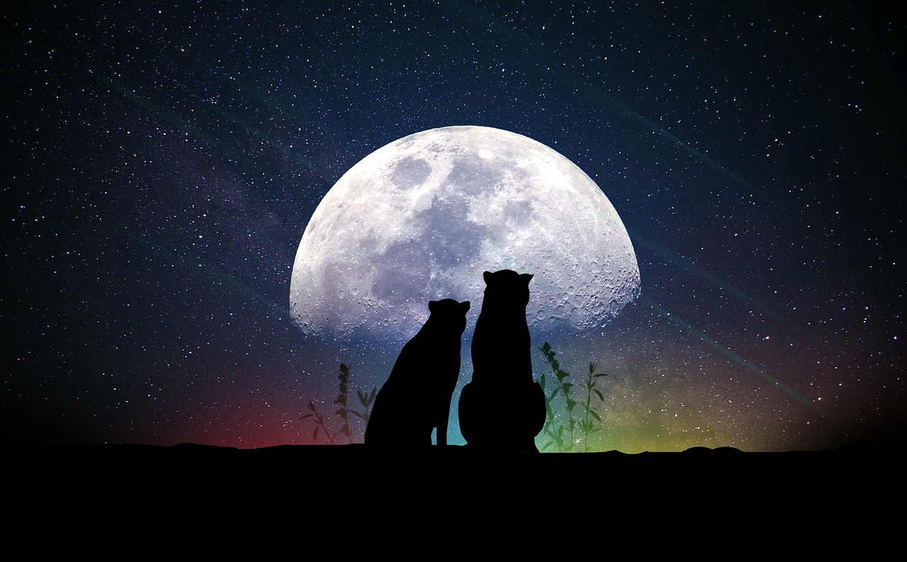 高清明星圖片，探索魅力無限的星光照耀世界