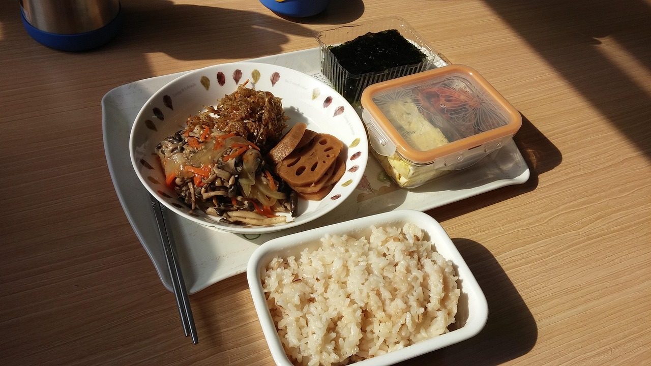 最新便攜餐盒，革新餐飲體驗與環保生活的完美結合