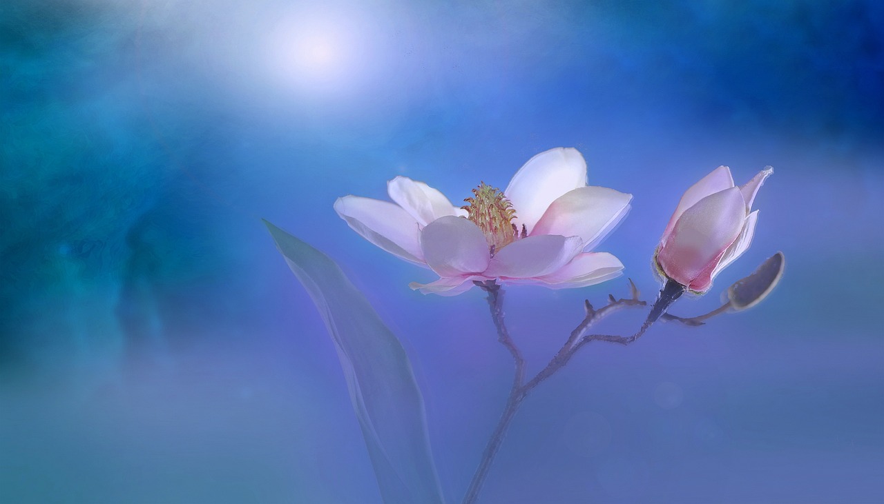 春江花月夜電影，詩意與影像的完美融合