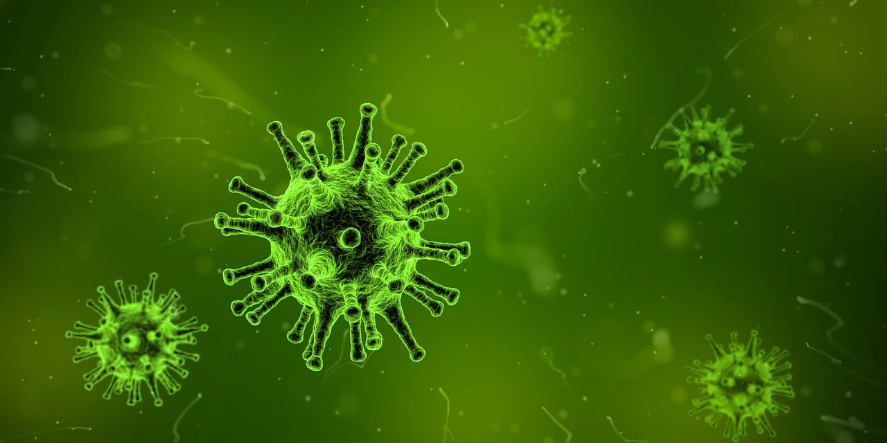 最新分離微生物菌株研究及其應用領域探索