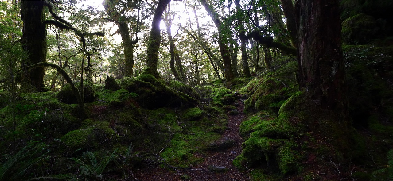 野山村情緣，深山里的情緣故事閱讀