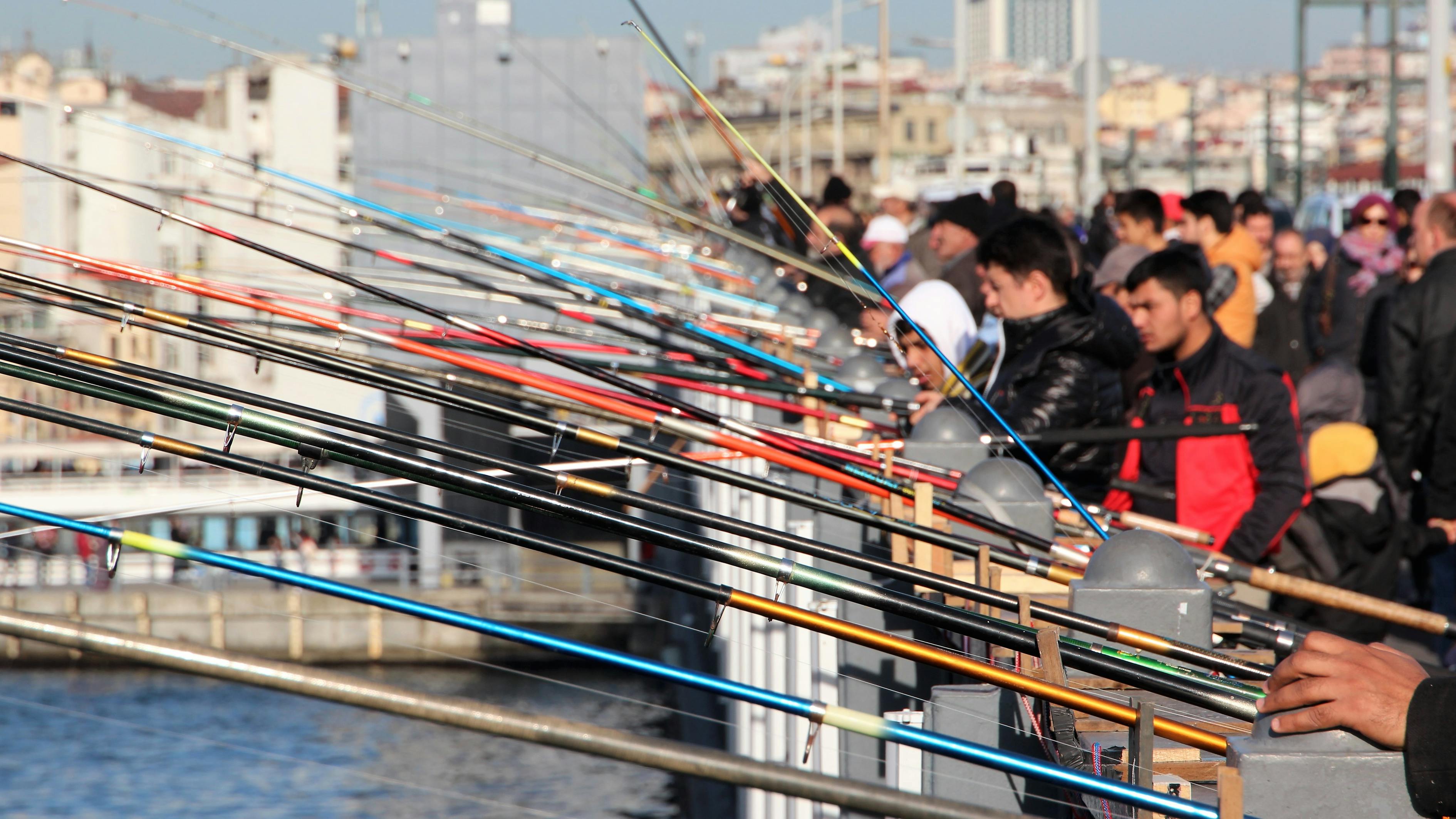 革新技術引領釣魚新體驗，最新釣竿的升級與體驗提升