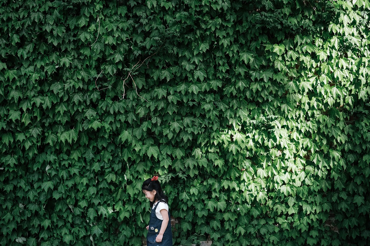 了不起的女孩電視劇，展現女性力量的佳作